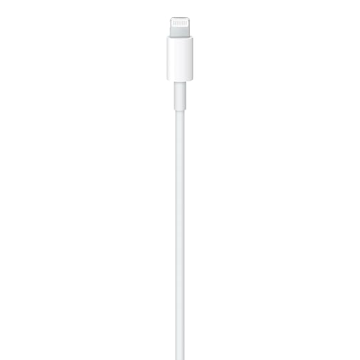 Apple Cable USB-C a Lightning de Apple (1 m)